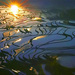 龙树坝