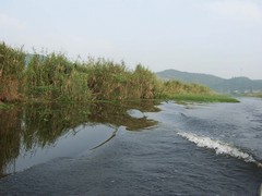 莫干山图片