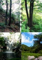 玫瑰谷 1 (4)