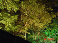 DSC01773