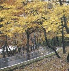 上窑森林公园2