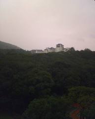 武汉大学图片