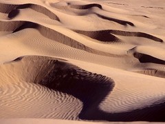 撒哈拉沙漠图片