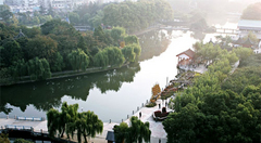 红梅公园图片