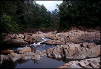 endau_park1