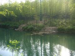 南山图片
