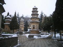 塔林图片