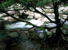 障山大峡谷图片