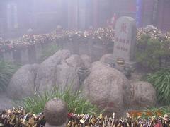 泰山9