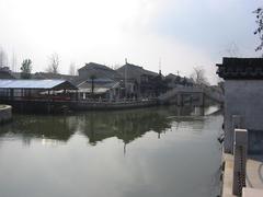 枫泾图片