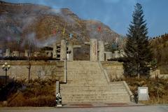 延庆硅化木国家地质公园图片