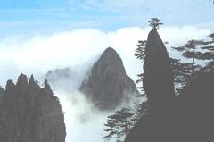 梦笔生花图片