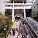 澳门大学