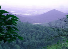鸡笼山图片
