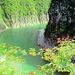 巴雾峡