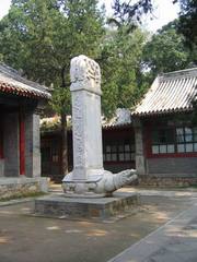 八大处公园图片