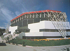 大学生体育馆图片