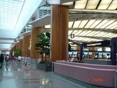 樟宜国际机场 樟宜国际机场3