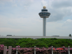 樟宜国际机场 樟宜国际机场1