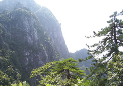 万佛山自然保护区图片