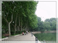 雨山湖图片