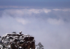 黄山 雪后黄山13