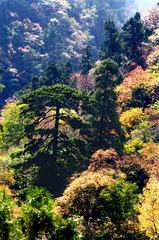 上方山图片