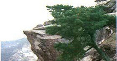 熬头山 熬头山