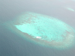 原住居民岛 Maldives Resort Island7
