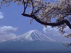 富士山 富士山53