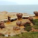  野柳地质公园 台湾 台北 野柳地质公园4