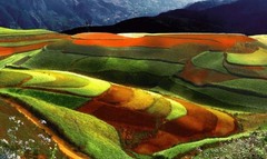 东川红土地图片