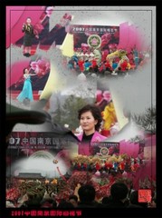梅花山图片