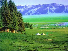 那拉提旅游风景区图片