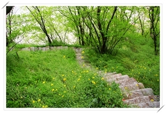 小孤山图片