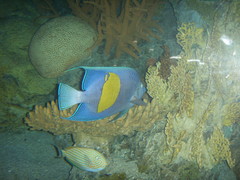 海洋馆图片