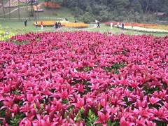 碧峰峡图片