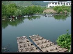 彩虹桥图片