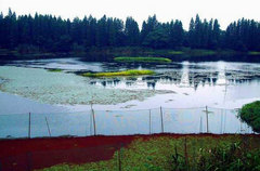 淀山湖图片