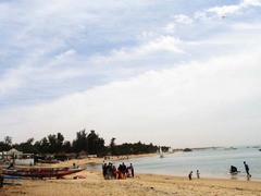 砂丽海滩图片