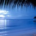 加勒比