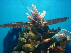 44_1357_4fd654d14b571bf