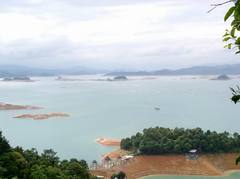 新丰江国家森林公园图片