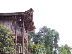 茶洞图片