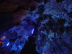 2006073010153742_181_o