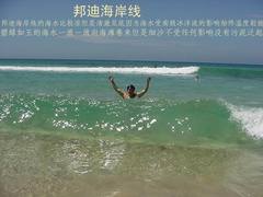 悉尼邦迪海滩图片