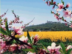 佘山图片