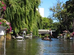 nz_d_pu