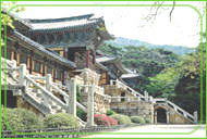 世界园艺博览园图片