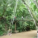野象谷